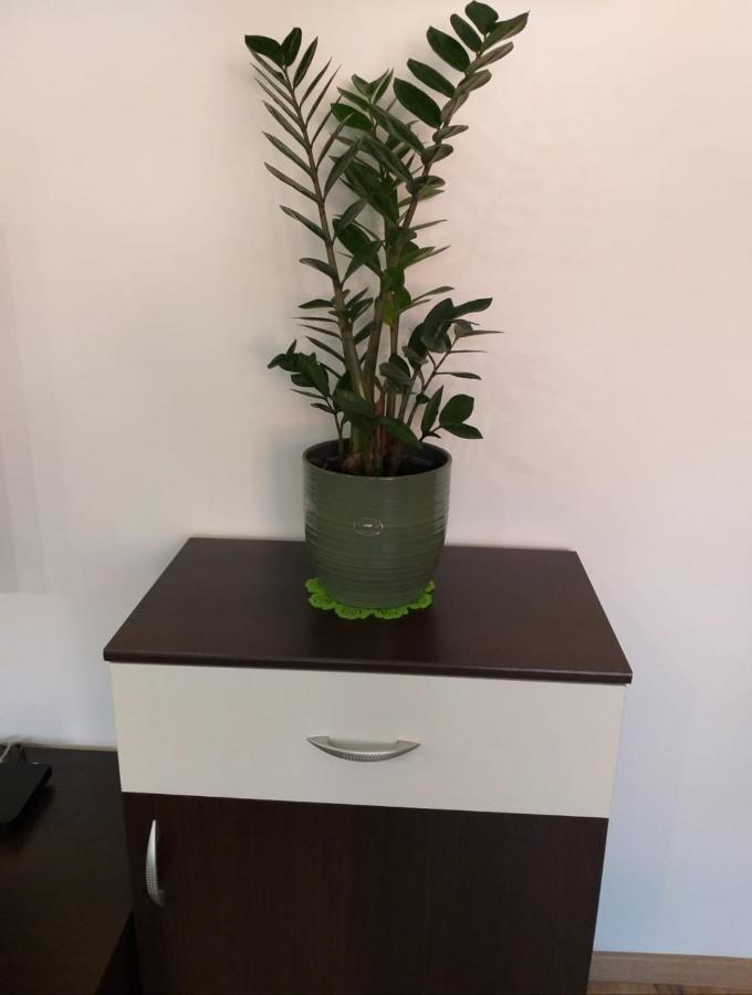 זאגרב Apartments Battistutti - Free Private Parking מראה חיצוני תמונה
